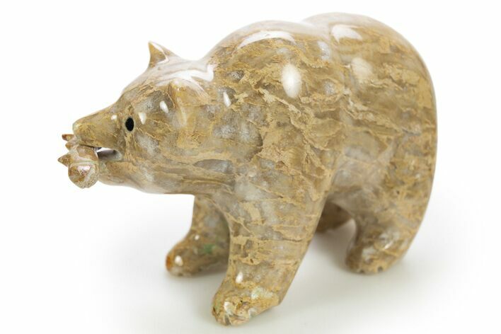 Realistic, Polished Fossil Coral Bear with Fish - Philippines #308439